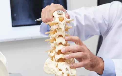 Ostéoporose : pour que l’os vive !