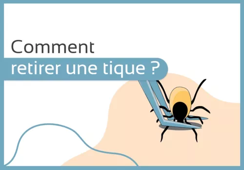 Comment retirer une tique ?